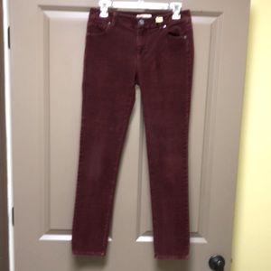 CAbi 5 popular 5-pocket soft cords. Size 4. Excellent condition.